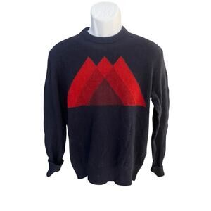 Gap Men's M dark blue red abstract art lambswool knit sweater